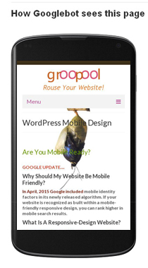 Google Mobile-friendly view